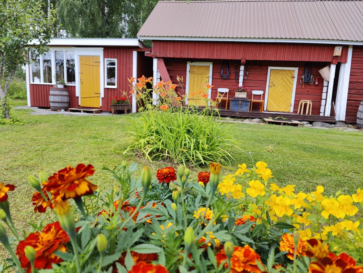 Reittiö